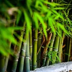 Serenity Luxury Villa, Skiathos Villa Agia Paraskevi (Skiathos)