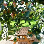 Villa Serenity Luxury Villa, Skiathos