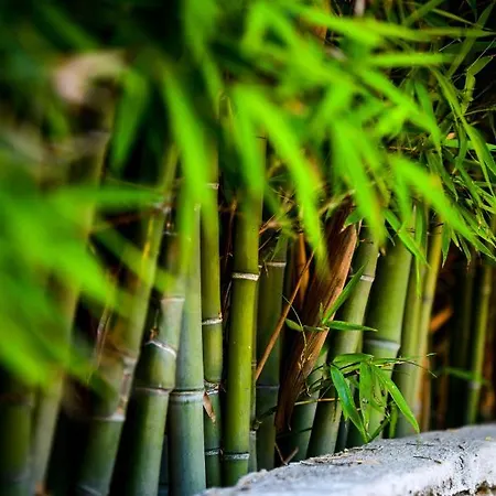 Serenity Luxury Villa, Skiathos Villa Agia Paraskevi (Skiathos)