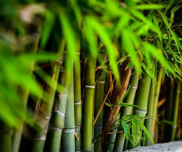 Serenity Luxury Villa, Skiathos Villa Agia Paraskevi (Skiathos)