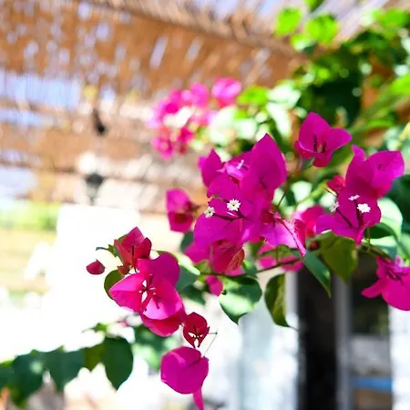 Vila Serenity Luxury Villa, Skiathos Agia Paraskevi (Skiathos)