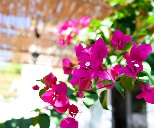 Vila Serenity Luxury Villa, Skiathos Agia Paraskevi (Skiathos)